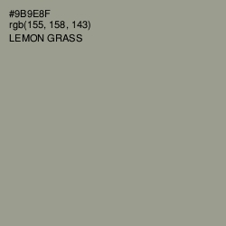 #9B9E8F - Lemon Grass Color Image
